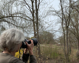 KArin sucht ihr Motiv in der Natur